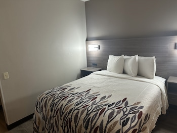 Superior Room, 1 Queen Bed, Accessible, Non Smoking (Roll-In Shower)