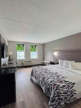 Superior Room, 1 Queen Bed, Accessible, Non Smoking (Roll-In Shower)