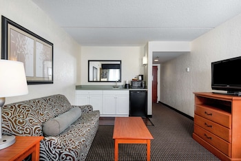 Suite, 1 King Bed with Sofa bed, Non Smoking