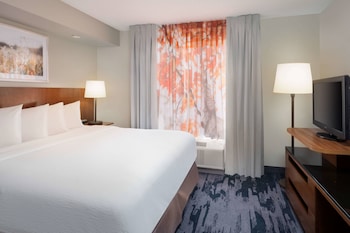 Suite, 1 King Bed with Sofa bed