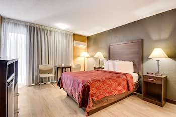 Room, 1 Double Bed, Accessible, Non Smoking