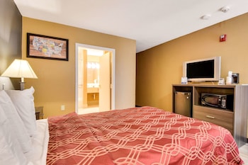Room, 1 Double Bed, Accessible, Non Smoking