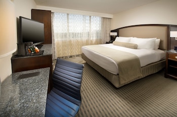 Room, 1 King Bed