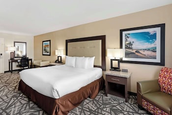 Standard Room, 1 King Bed, Non Smoking, Refrigerator & Microwave