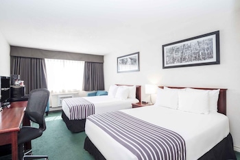 Standard Room, 2 Double Beds