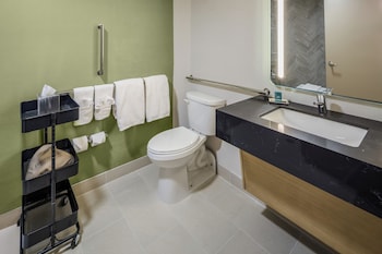 Room, 1 King Bed, Accessible (Mobility & Hearing, Roll-In Shower)