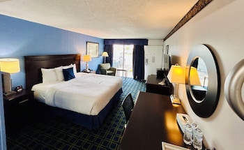 Room, 1 King Bed, Non Smoking