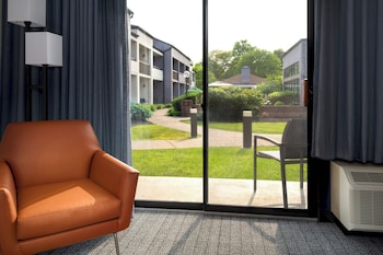 Room, 1 King Bed with Sofa bed (Mobility/Hearing Access, Roll-in Shwr)