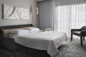 Room, 1 King Bed with Sofa bed