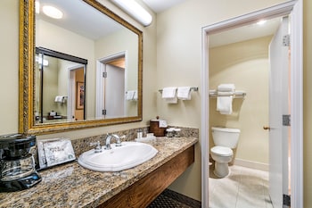 Superior Room, 1 King Bed (Pet Friendly)