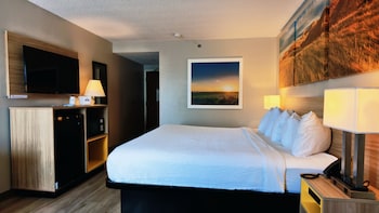 Room, 1 King Bed, Non Smoking