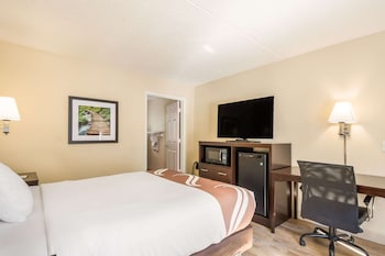 Room, 1 Queen Bed, Accessible, Non Smoking (Roll-In Shower)
