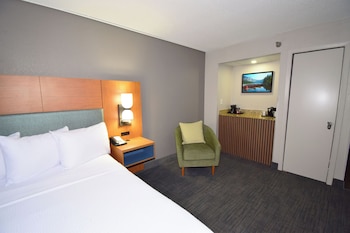 Room, 1 King Bed, Non Smoking