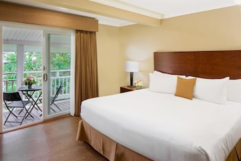 Suite, 1 King Bed, Non Smoking, Refrigerator & Microwave (Living Room;with Sofabed)