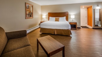 Standard Room, 1 King Bed, Non Smoking, Jetted Tub (Larger Room;with Sofabed)