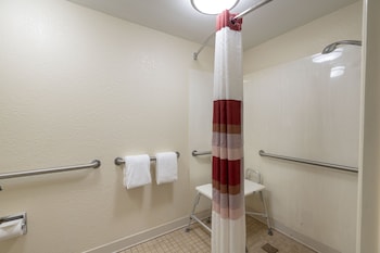 Superior Room, 1 King Bed, Accessible, Non Smoking (Roll-In Shower)