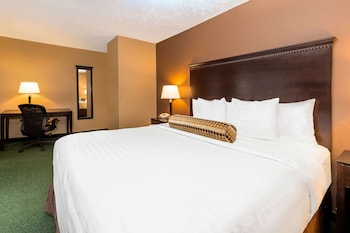 Room, 1 King Bed, Non Smoking
