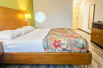 Room, 1 King Bed, Smoking