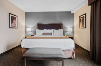 Standard Room, 1 King Bed, Jetted Tub, Tower (Shower Only)