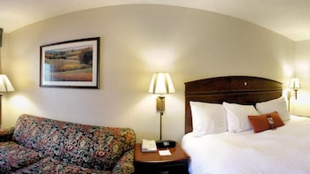 Room, 1 King Bed with Sofa bed, Non Smoking (Study)