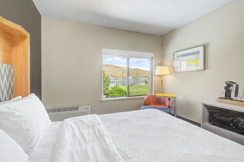 Suite, 1 Bedroom, Accessible (Mobility Accessible)