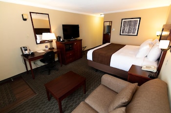 Standard Room, 1 King Bed, Non Smoking, Refrigerator & Microwave (with Single Sofabed)