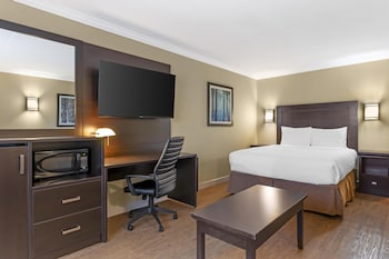 Standard Room, 1 Queen Bed, Non Smoking, Refrigerator & Microwave (2nd Floor;with Sofabed)