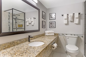 Suite, 1 King Bed, Non Smoking, Refrigerator & Microwave (Larger Room;with Sofabed)