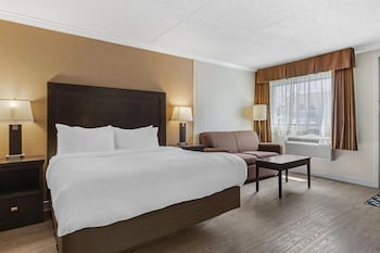 Suite, 1 King Bed, Non Smoking, Refrigerator & Microwave (Larger Room;with Sofabed)