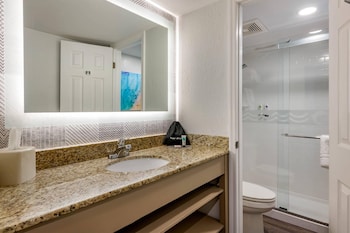 1 King Bed, Partial Ocean View, Balcony, No Smoking