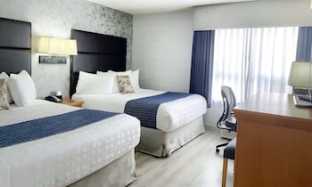 Family Suite, Multiple Beds, Non Smoking, Refrigerator & Microwave (4 queen beds)