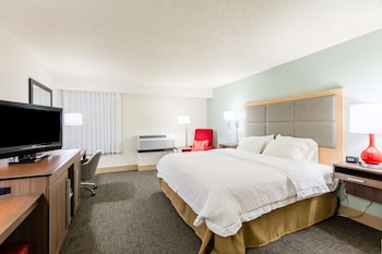 Room, 1 King Bed, Accessible