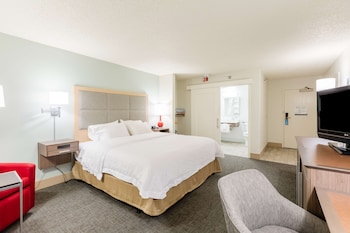 Room, 1 King Bed, Accessible