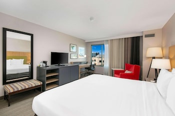 Suite, 1 Bedroom, Non Smoking