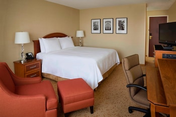 Room, 1 King Bed