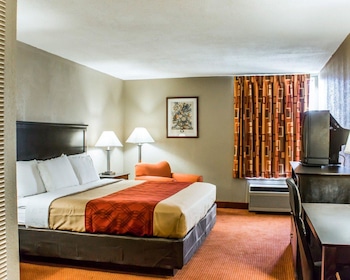 Room, 1 King Bed, Accessible, Non Smoking