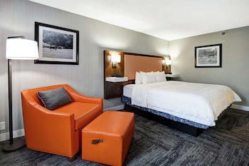 Room, 1 King Bed, Non Smoking