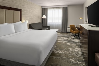 Room, 1 King Bed with Sofa bed