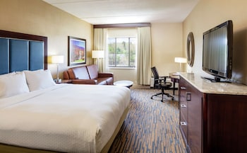 Room, 1 King Bed with Sofa bed