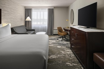 Room, 1 King Bed with Sofa bed