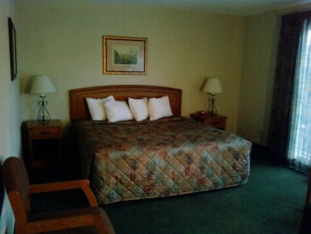 Room, 1 King Bed, Smoking