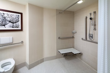 Room, 1 King Bed with Sofa bed (Mobility Accessible, Roll-In Shower)