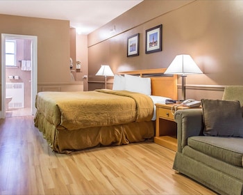Superior Room, 1 King Bed, Non Smoking