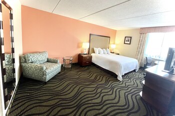 Deluxe Suite, 1 King Bed, Non Smoking