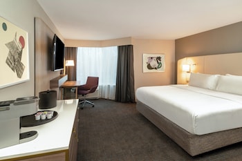 Standard Room, 1 King Bed, Mobility Accessible (Accessible Tub)