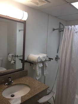 Room, 1 King Bed, Accessible, Non Smoking (Mobility, Roll-in Shower)