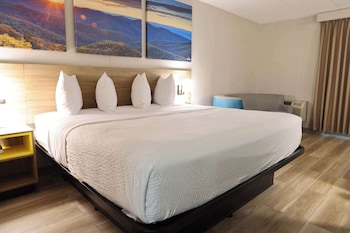 Room, 1 King Bed, Non Smoking, Kitchenette