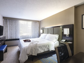 Standard Room, 1 King Bed (High Floor)