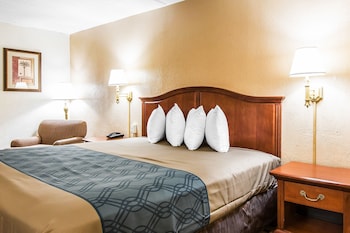 Room, 1 King Bed, Non Smoking