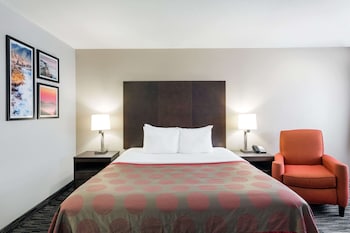 Room, 1 King Bed with Sofa bed, Non Smoking